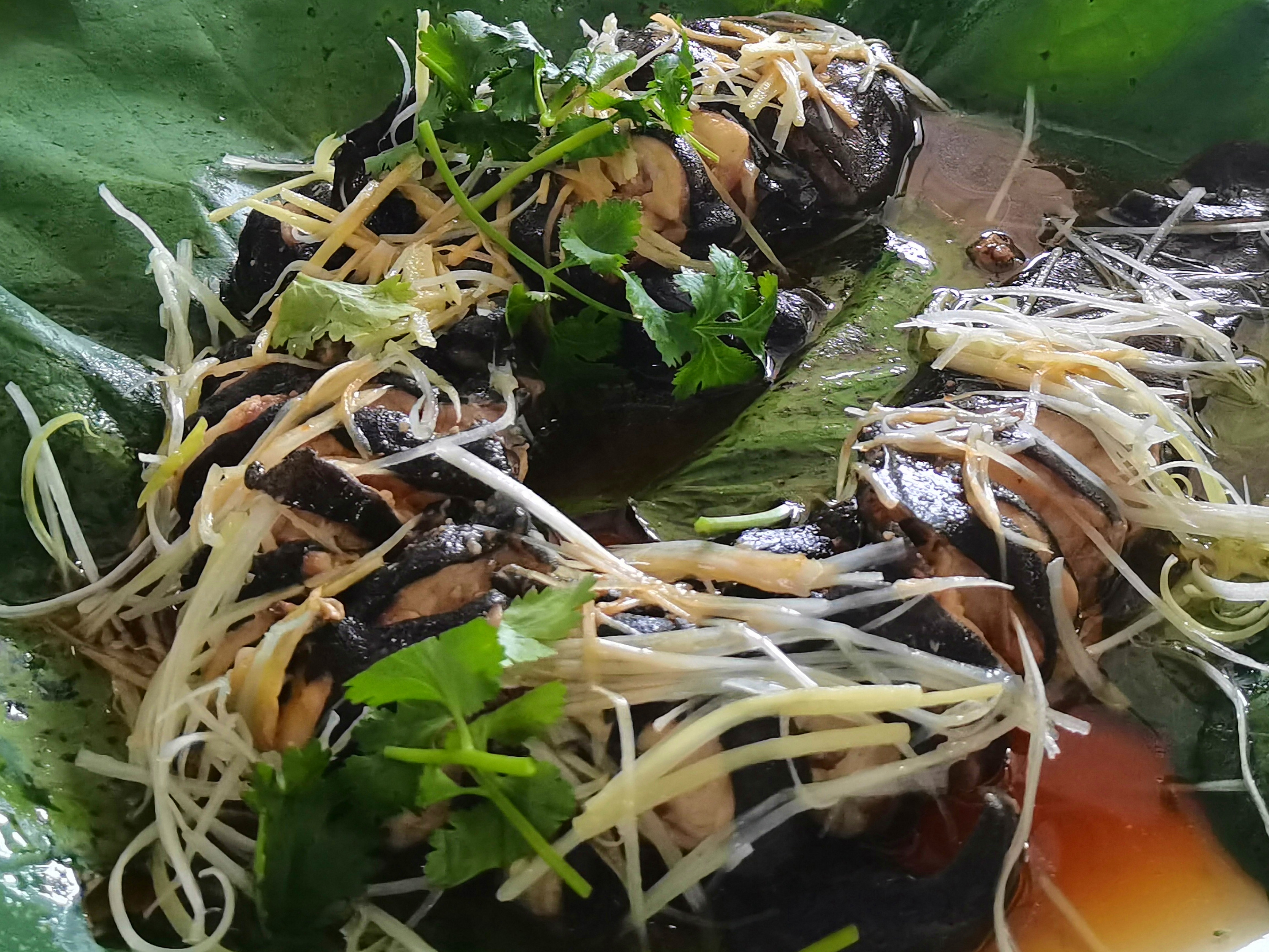 武隆江口烏江魚